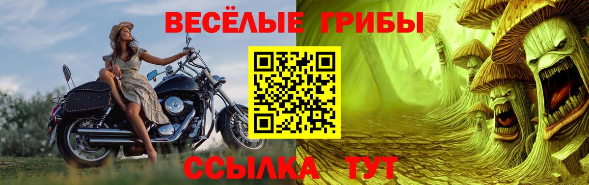 Галлюциногенные грибы GOLDEN TEACHER Чернушка