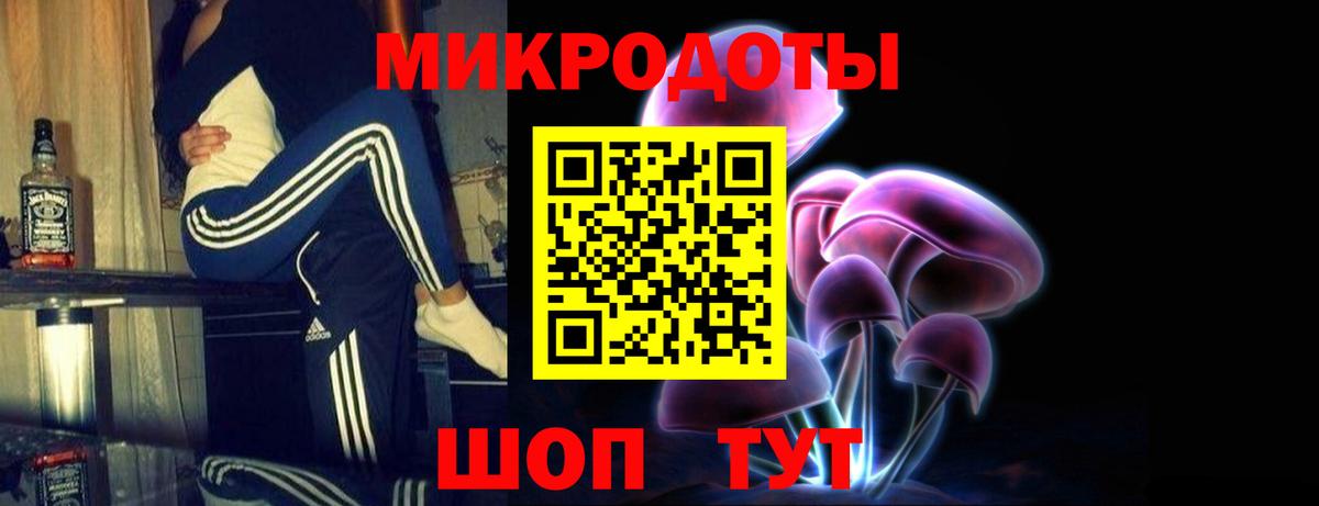 Чернушка  Псилоцибиновые грибы MAGIC MUSHROOMS  Вход с VPN 